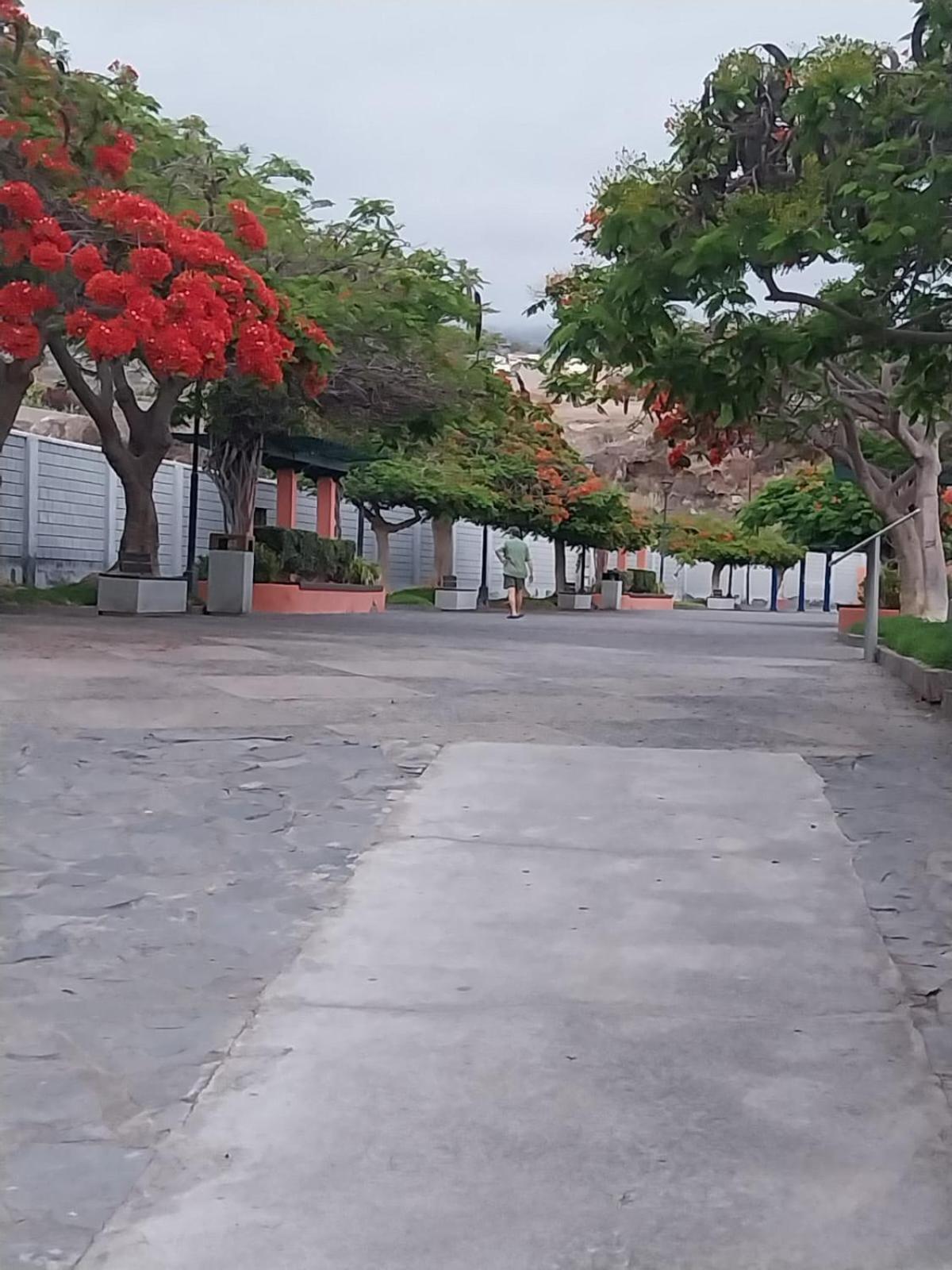 Mi Casita Tenerife Sur Free Wifi E Ac Арона Екстер'єр фото
